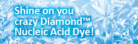 Cost-effective alternative to ethidium bromide and SYBR® Gold! 